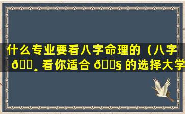 什么专业要看八字命理的（八字 🌸 看你适合 🐧 的选择大学专业）